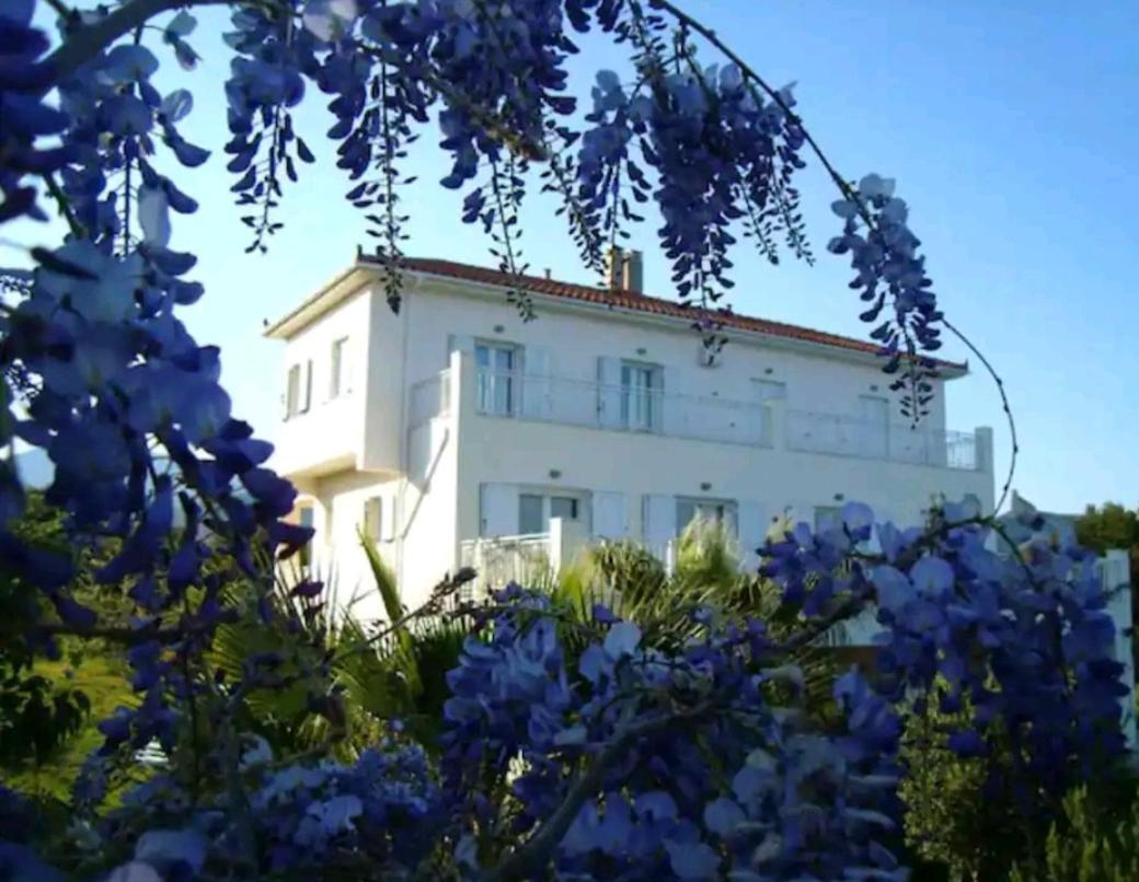 Kalamies - Secluded Beach Apartments Skala  Exterior photo